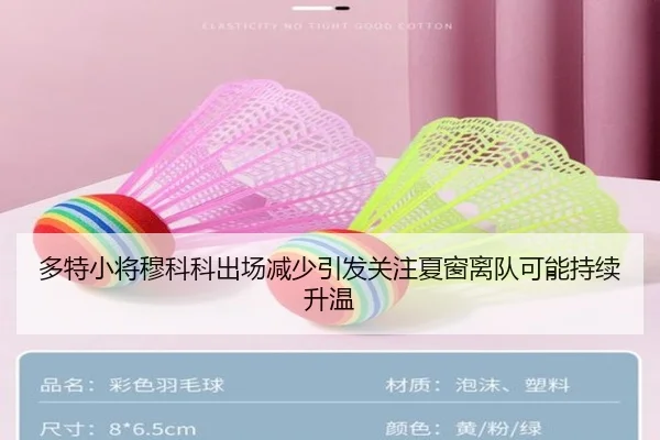 多特小将穆科科出场减少引发关注夏窗离队可能持续升温